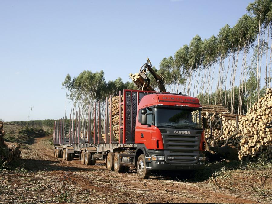  Scania R500 6x2 Highline Timber Truck 2004 года  (фото 2 из 2)
